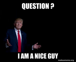 Trump Everything is FIne