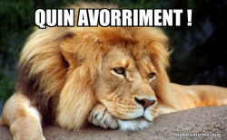 Confession Lion