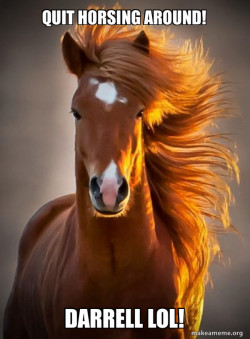 Ridiculously photogenic horse