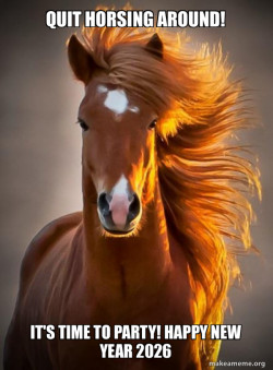 Ridiculously photogenic horse