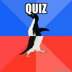 Socially Awkward Awesome Penguin