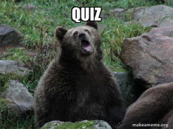 Sarcastic Bear