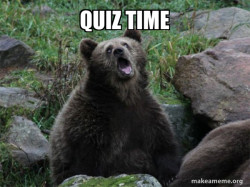 Sarcastic Bear