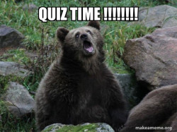 Sarcastic Bear