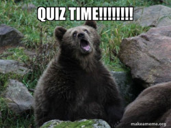 Sarcastic Bear