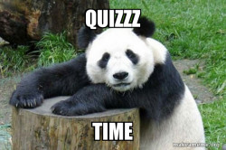 Confession Panda