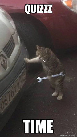 Mechanic Cat