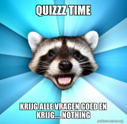 Lame Pun Coon