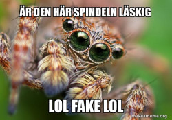 Hipster Spider