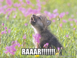 Baby Insanity Wolf