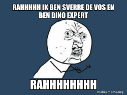 Y U No