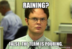 Schrute Facts (Dwight Schrute from The Office)