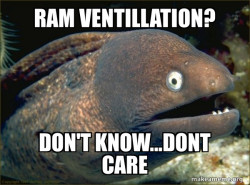 Bad Joke Eel