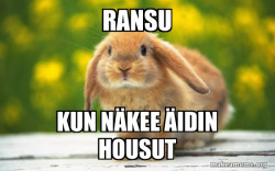 Regretful Rabbit