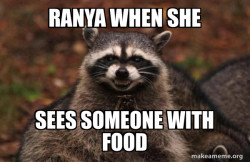 Evil Plotting Raccoon