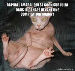 Hairless Cat
