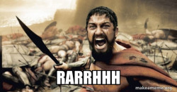 The 300