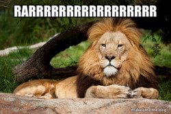 Contemplative Lion