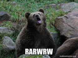 Sarcastic Bear