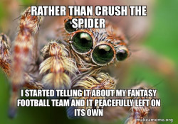 Hipster Spider