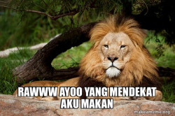Contemplative Lion