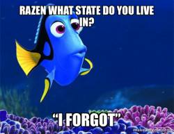 Dory from Nemo  (5 second memory)