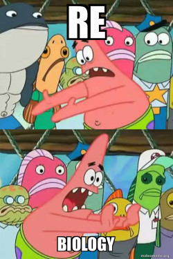 Push It Somewhere Else Patrick