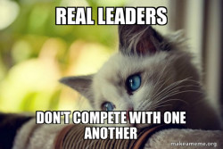 First World Cat Problems
