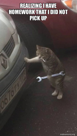 Mechanic Cat