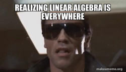 The Terminator