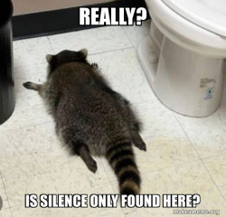 Drunk Raccoon