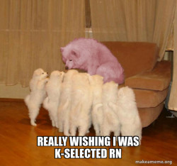 Malicious Storytelling Dog