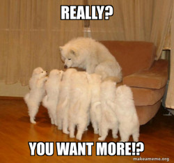 Storytelling Dog