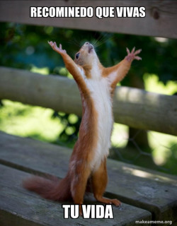 Happy Squirrel