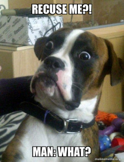 Skeptical Dog
