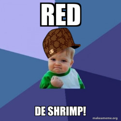 Scumbag Success Kid