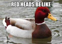Malicious Advice Mallard