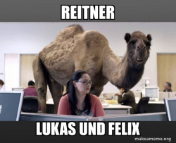 Hump Day Camel