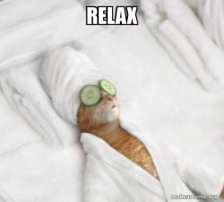 Pampered Cat Meme