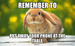 Regretful Rabbit