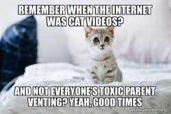 Cute Kitten
