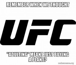 Rhonda Rousey got knocked out 