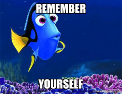 Dory from Nemo  (5 second memory)