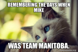 First World Cat Problems