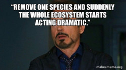 Tony Stark Eye Roll