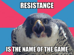 Millennial Falcon