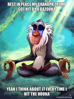 Rafiki Meditating - Lion King