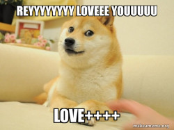 Doge