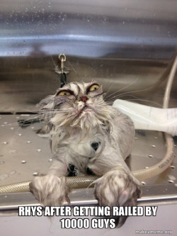 Cat Bath Returns