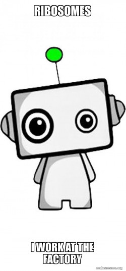 Cute Robot